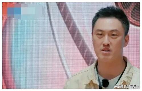 娱乐圈吃瓜爆料最火